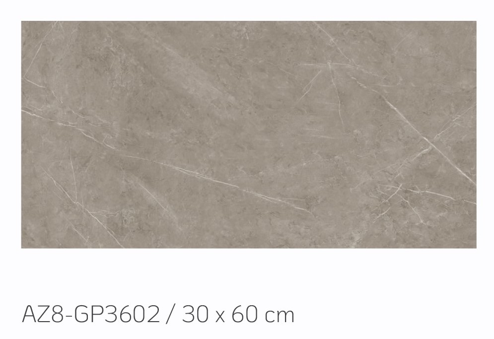 Gạch ốp tường Viglacera ARIZONA SERIES AZ8 - GP3602