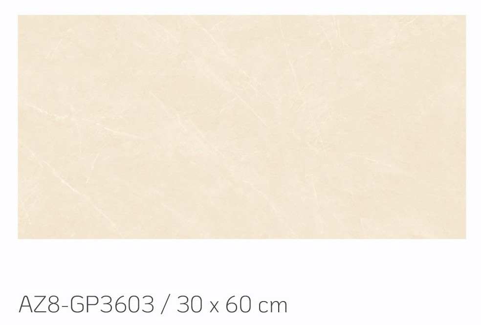 Gạch ốp tường Viglacera ARIZONA SERIES AZ8 - GP3603